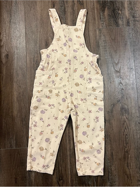 Zara Other - Zara Cream Floral Kids Overalls with Purple and Brown Accents